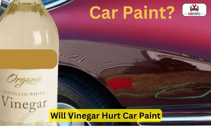 Vinegar On Car Paint